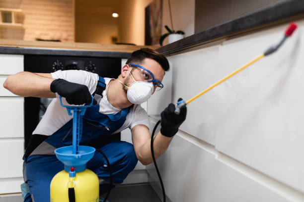 Best Wildlife Control Services  in Gallitzin, PA