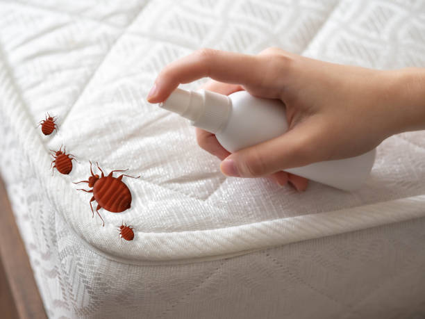 Best Residential Pest Control  in Gallitzin, PA