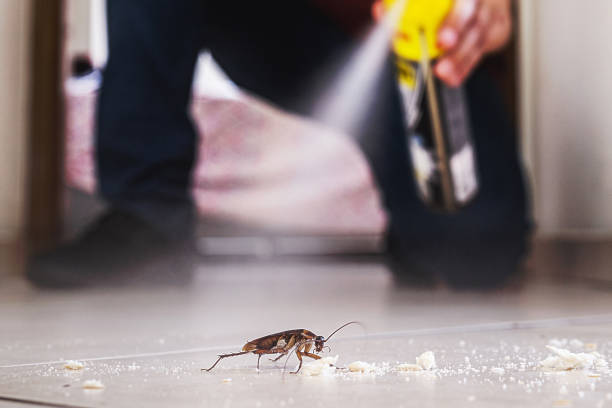 Best Pest Control for Businesses  in Gallitzin, PA