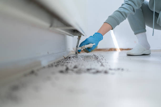 Bird Control in Gallitzin, PA