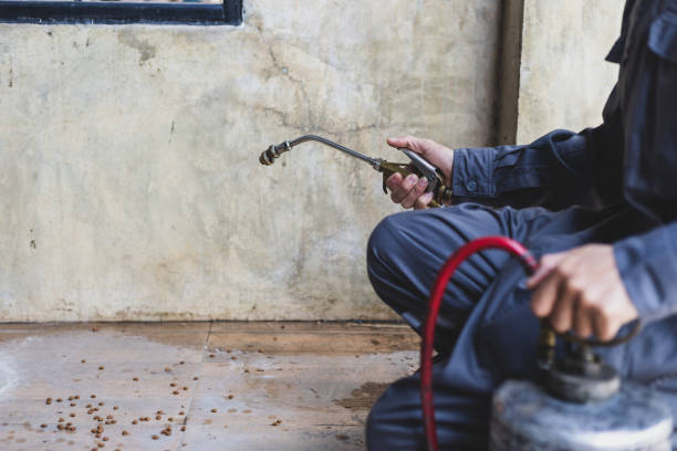 Best Emergency Pest Control  in Gallitzin, PA